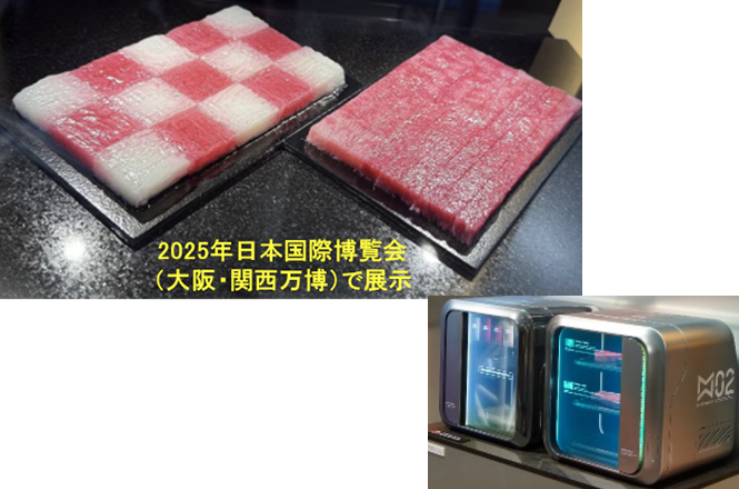 2.未来食部門（培養肉）